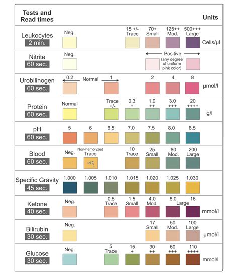 urinalysis bottle test strips|urinalysis strip chart.